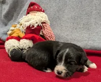 processed/36d50b9e-12b4-498c-812a-34cd7f5c4393/listing/37c0b1fb-cb33-481f-ba47-e4f9584a704d/896db8ef-356f-4463-afc1-e05ca3d2f3ee