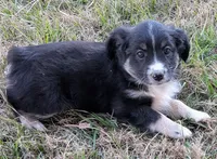 processed/36d50b9e-12b4-498c-812a-34cd7f5c4393/listing/37c0b1fb-cb33-481f-ba47-e4f9584a704d/b05d4065-519b-4973-ae43-171bffe9fbe2