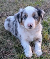 processed/36d50b9e-12b4-498c-812a-34cd7f5c4393/listing/4fa8d785-aa8f-44eb-85c6-83293f2782c9/a7415325-a6e6-4a60-bc6a-331846f4fa07