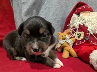 processed/36d50b9e-12b4-498c-812a-34cd7f5c4393/listing/a2e9d8c0-acae-4269-80fa-9f104410ad3d/039de5fb-540d-48f0-b3b1-91ccde694575