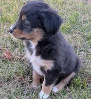 processed/36d50b9e-12b4-498c-812a-34cd7f5c4393/listing/a2e9d8c0-acae-4269-80fa-9f104410ad3d/c1994831-fa89-43fc-b2ba-3f06e9bd03b3