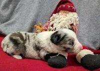 processed/36d50b9e-12b4-498c-812a-34cd7f5c4393/listing/a5b8a5ac-3dbd-4b23-b06a-33e4d270843a/09a2d581-5ac0-4747-affe-8c10bde9503e