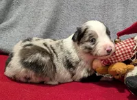 processed/36d50b9e-12b4-498c-812a-34cd7f5c4393/listing/a5b8a5ac-3dbd-4b23-b06a-33e4d270843a/15b3fec9-5fb4-4ae8-ae00-05d09380a167