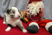 processed/36d50b9e-12b4-498c-812a-34cd7f5c4393/listing/a5b8a5ac-3dbd-4b23-b06a-33e4d270843a/380ff926-a2e2-4c34-bf9a-cec0ec678593