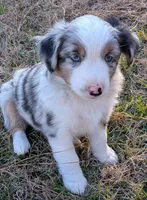 processed/36d50b9e-12b4-498c-812a-34cd7f5c4393/listing/b051c443-7e56-48d2-ba0c-02bc8325c238/c81b525c-83c8-40bc-9ad0-0bb43138d619