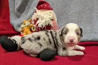 processed/36d50b9e-12b4-498c-812a-34cd7f5c4393/listing/b051c443-7e56-48d2-ba0c-02bc8325c238/e5e64495-6d0f-4822-9284-537e70eb87ff