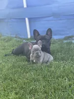 processed/36e1e675-ad8f-458c-aec0-7a2a607481fe/facility/38b74d0e-355a-4551-bb3b-0068d8295060