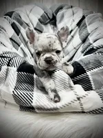 processed/36e1e675-ad8f-458c-aec0-7a2a607481fe/facility/ac722c4e-984e-4c22-aaec-d8cfbfde8c7b