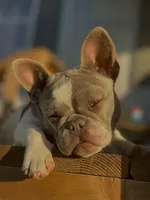 processed/36e1e675-ad8f-458c-aec0-7a2a607481fe/facility/ff0e68cc-285b-4619-85d1-55a2981b4883