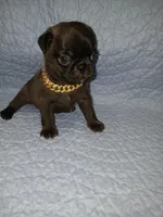 processed/36e88a04-2cf8-4ff3-8101-f4e254708c4b/facility/00798389-130c-40c3-9784-41ffa64e79ea