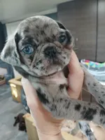 processed/36e88a04-2cf8-4ff3-8101-f4e254708c4b/facility/2643a19d-843c-42ab-9f91-1409643e67cb