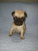 processed/36e88a04-2cf8-4ff3-8101-f4e254708c4b/facility/f693df00-f08f-40e5-a889-65c75712d44b