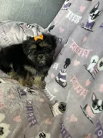 processed/36eba547-d7bc-498c-9ecf-4860a58d7228/listing/07f0249a-af28-48f2-9c78-c833fd6124b1/0a46b471-6de2-4af5-bc40-49b3cea65598