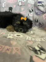 processed/36eba547-d7bc-498c-9ecf-4860a58d7228/listing/07f0249a-af28-48f2-9c78-c833fd6124b1/92428413-16c8-48dd-a912-0a10c63c4b64