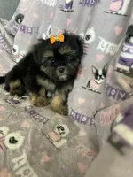 processed/36eba547-d7bc-498c-9ecf-4860a58d7228/listing/07f0249a-af28-48f2-9c78-c833fd6124b1/ae34a93e-b158-4a7e-94ae-65053870f3bd