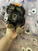 processed/36eba547-d7bc-498c-9ecf-4860a58d7228/listing/07f0249a-af28-48f2-9c78-c833fd6124b1/c7e9d9a7-1d60-43f2-9f51-2f8666cb768f