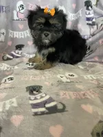 processed/36eba547-d7bc-498c-9ecf-4860a58d7228/listing/07f0249a-af28-48f2-9c78-c833fd6124b1/d85458db-b3a3-47cb-b7ec-aa54b55ac982