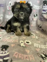 processed/36eba547-d7bc-498c-9ecf-4860a58d7228/listing/07f0249a-af28-48f2-9c78-c833fd6124b1/df9f612a-5556-4ca1-864a-6eea3820e3b7