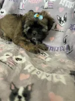 processed/36eba547-d7bc-498c-9ecf-4860a58d7228/listing/29f367e9-aabf-494d-96f6-c42fbb9c30a6/3d3835e1-74b3-4c32-a208-b77a1e7c8234