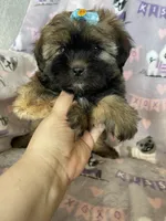 processed/36eba547-d7bc-498c-9ecf-4860a58d7228/listing/29f367e9-aabf-494d-96f6-c42fbb9c30a6/406f5b4c-a86b-450f-acf5-9197ae810425