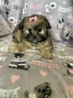 processed/36eba547-d7bc-498c-9ecf-4860a58d7228/listing/2e31a9ec-e722-4517-8b18-3050c3657212/22a70062-ef2e-4ae3-b987-62aed6e0795b