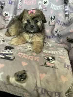 processed/36eba547-d7bc-498c-9ecf-4860a58d7228/listing/2e31a9ec-e722-4517-8b18-3050c3657212/868886a8-71df-4712-b4f2-51fddf7d0171