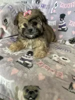 processed/36eba547-d7bc-498c-9ecf-4860a58d7228/listing/2e31a9ec-e722-4517-8b18-3050c3657212/9e7c76c9-da46-4ab8-8c1b-68130a80cea8