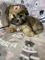 processed/36eba547-d7bc-498c-9ecf-4860a58d7228/listing/2e31a9ec-e722-4517-8b18-3050c3657212/e7072703-dce4-4792-b2e0-9896c1b35d52