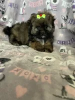 processed/36eba547-d7bc-498c-9ecf-4860a58d7228/listing/4acdc2f1-2271-433b-86be-3fc1ca9bf1b4/0569f554-e2dc-46c7-8098-e8daf0e36c17