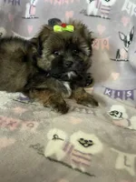 processed/36eba547-d7bc-498c-9ecf-4860a58d7228/listing/4acdc2f1-2271-433b-86be-3fc1ca9bf1b4/234affc0-6a7c-44dc-8267-46a00d50291a