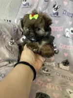 processed/36eba547-d7bc-498c-9ecf-4860a58d7228/listing/4acdc2f1-2271-433b-86be-3fc1ca9bf1b4/5b0a80be-31f6-46a2-85d5-04bf91c49f13