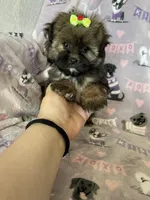 processed/36eba547-d7bc-498c-9ecf-4860a58d7228/listing/4acdc2f1-2271-433b-86be-3fc1ca9bf1b4/6456e6d1-8521-4048-ae33-ee19fca4267a