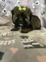 processed/36eba547-d7bc-498c-9ecf-4860a58d7228/listing/4acdc2f1-2271-433b-86be-3fc1ca9bf1b4/d0662dae-c778-4793-a922-933edff4fcd3