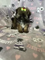 processed/36eba547-d7bc-498c-9ecf-4860a58d7228/listing/4acdc2f1-2271-433b-86be-3fc1ca9bf1b4/df09dc0e-f5c3-4d29-98d2-0267ed5306d6