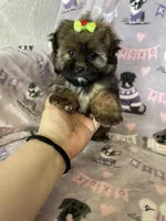 processed/36eba547-d7bc-498c-9ecf-4860a58d7228/listing/4acdc2f1-2271-433b-86be-3fc1ca9bf1b4/e5107f32-19d3-49eb-872b-e9b4b4847ee9