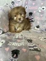 processed/36eba547-d7bc-498c-9ecf-4860a58d7228/listing/7317e61b-935c-40e2-b48d-ae27414643fd/01a566e8-1829-40a1-be40-4d1038074e9c