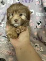 processed/36eba547-d7bc-498c-9ecf-4860a58d7228/listing/7317e61b-935c-40e2-b48d-ae27414643fd/94bb7c6b-d040-4bb1-8859-081a2e3d99d7