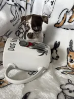 processed/36eba547-d7bc-498c-9ecf-4860a58d7228/listing/c293373c-14a8-4e06-b7cf-357a0a1bd6cd/561d23de-f9a3-4432-861b-b474aa00e975