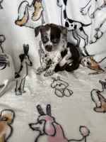 processed/36eba547-d7bc-498c-9ecf-4860a58d7228/listing/c293373c-14a8-4e06-b7cf-357a0a1bd6cd/565bb51d-2f48-46a8-b77a-a93d0c970dfe