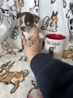 processed/36eba547-d7bc-498c-9ecf-4860a58d7228/listing/c293373c-14a8-4e06-b7cf-357a0a1bd6cd/b276dcc8-a85d-4152-a7c4-84963eb1340f