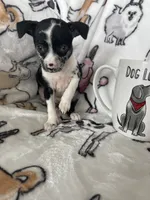 processed/36eba547-d7bc-498c-9ecf-4860a58d7228/listing/dcd97f78-8b29-4a73-ba03-5579fb4a4351/1aa22c61-d4bc-4c63-a07d-590339fad042