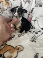 processed/36eba547-d7bc-498c-9ecf-4860a58d7228/listing/dcd97f78-8b29-4a73-ba03-5579fb4a4351/842cb49b-879d-4c94-9931-941a7e175fdb