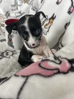 processed/36eba547-d7bc-498c-9ecf-4860a58d7228/listing/dcd97f78-8b29-4a73-ba03-5579fb4a4351/b9b380e6-f90a-4cac-84b1-d356c402453b