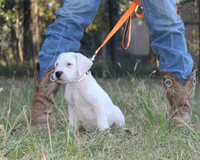 processed/36f41b54-42d4-40f0-acf1-5f6d8d0c84d0/listing/8ed00302-bde3-46b2-9bb9-8264e309bf80/5be93bbe-e524-4e0f-9df0-24eab41bc936