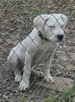 processed/36f41b54-42d4-40f0-acf1-5f6d8d0c84d0/listing/ac90d014-331e-40f0-be2c-dcb1d3fe328c/30cb95c2-3d95-4b1e-ad25-ccb7993e8f2d