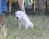 processed/36f41b54-42d4-40f0-acf1-5f6d8d0c84d0/listing/ac90d014-331e-40f0-be2c-dcb1d3fe328c/939b330e-6709-46ef-a9db-c7712efc2ae2