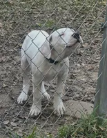 processed/36f41b54-42d4-40f0-acf1-5f6d8d0c84d0/listing/ac90d014-331e-40f0-be2c-dcb1d3fe328c/ee746dce-c033-4c72-95dc-00c65088fdd1