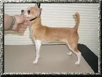 processed/36fa6ab2-0aa7-4853-b5c7-b175272e4979/facility/008689e7-e839-467e-8ac7-0125bad48705