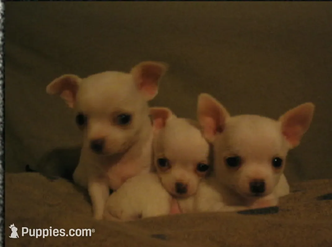 processed/36fa6ab2-0aa7-4853-b5c7-b175272e4979/facility/0d375822-6e03-4019-b857-e26cf3b451b1