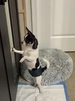 processed/36fa6ab2-0aa7-4853-b5c7-b175272e4979/facility/22581273-0ada-44b2-ad9f-19704f88abe4